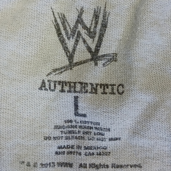 Daniel Bryan gray t-shirt - Picture 6 of 6